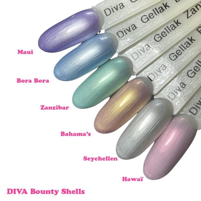 Diva Bounty Shells collectie
